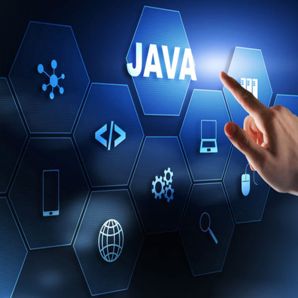 Java Mastery Program